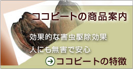 �R�R�s�[�g�̏��i�ē�