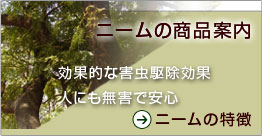 �j�[���̏��i�ē�